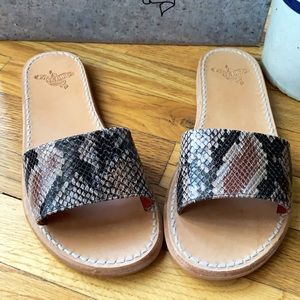 Freebird Golden Flat Sandals in Brown Snake